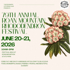 2026 festival flyer