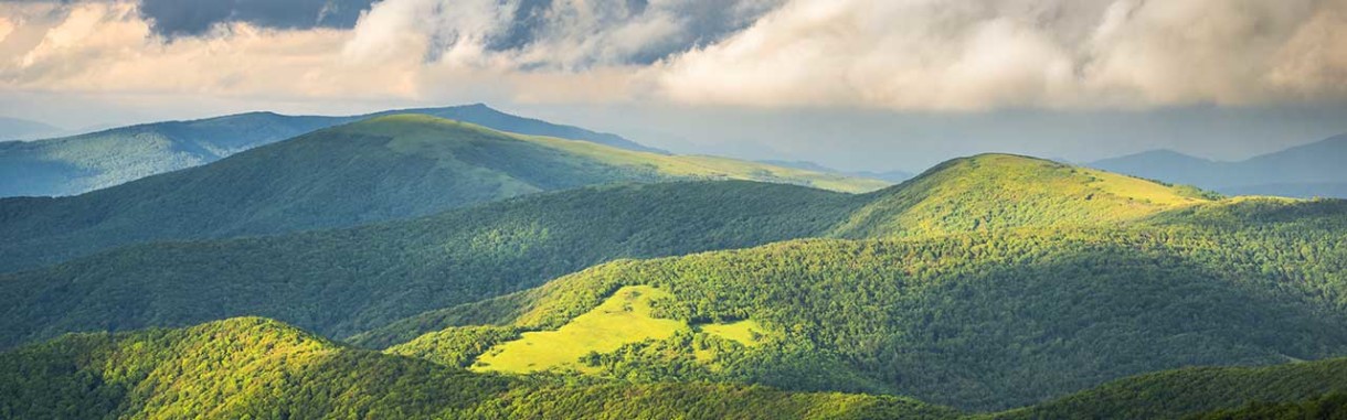 Roan Mountain state park