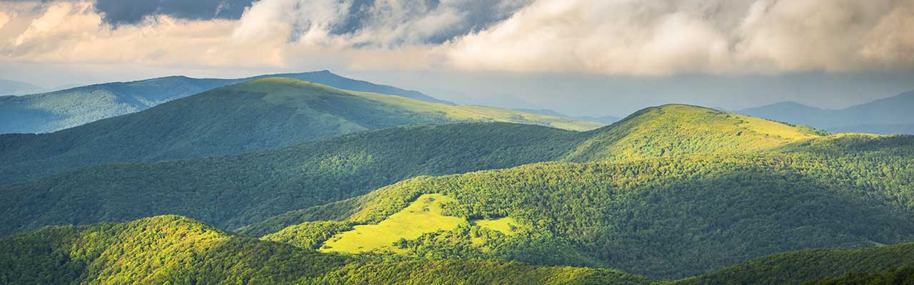 Roan Mountain state park