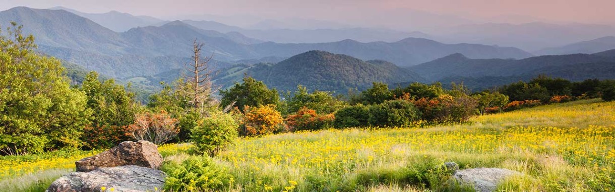 roan mountain state park