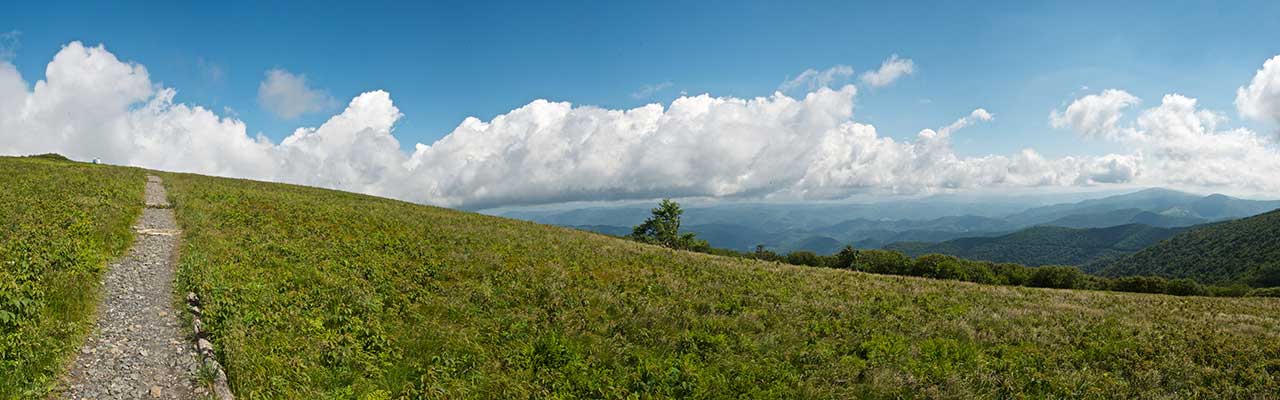 Roan Mountain state park